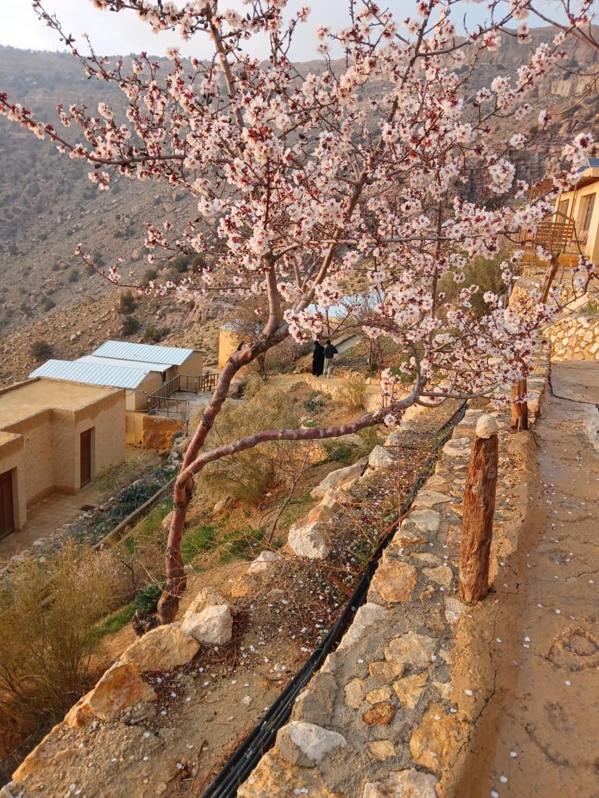 Dana Village Camp-Wadi Dana Eco camp Esterno foto